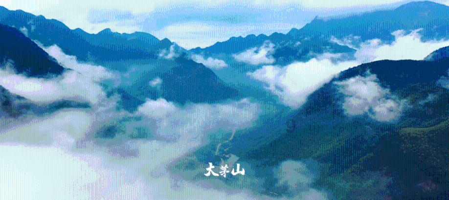 春雨直播app